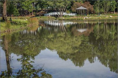 Volop parken en groen