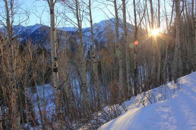 Big Cottonwood Canyon in Utah