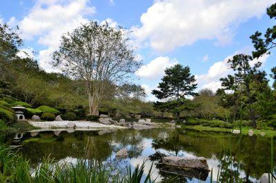 Japanese Garden