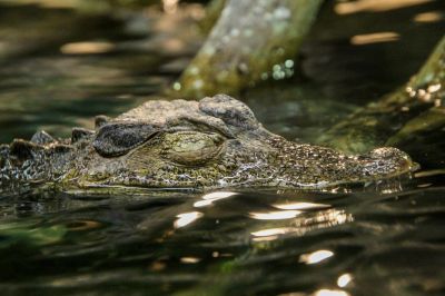 Everglades National Park