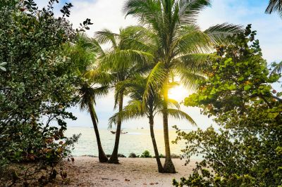 Stranden in Florida