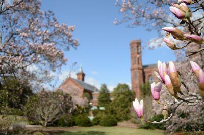 Smithsonian Castle