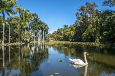 Hugh Taylor Birch State Park in Florida