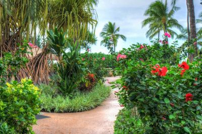 Ko Olina