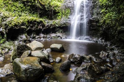 Watervallen, uitgestrekte bossen en meer